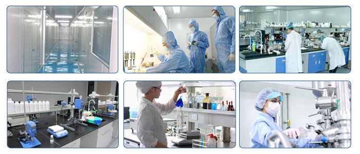 藍(lán)淇化妝品網(wǎng)站建設(shè)